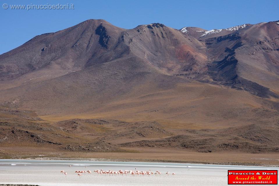 BOLIVIA 2 - Ruta de Las Joyas - Laguna Hedionda - 06.jpg